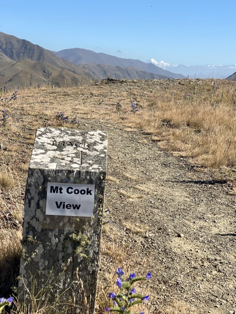 Mt Cook View signpost on the Benmore Peninsula Track
