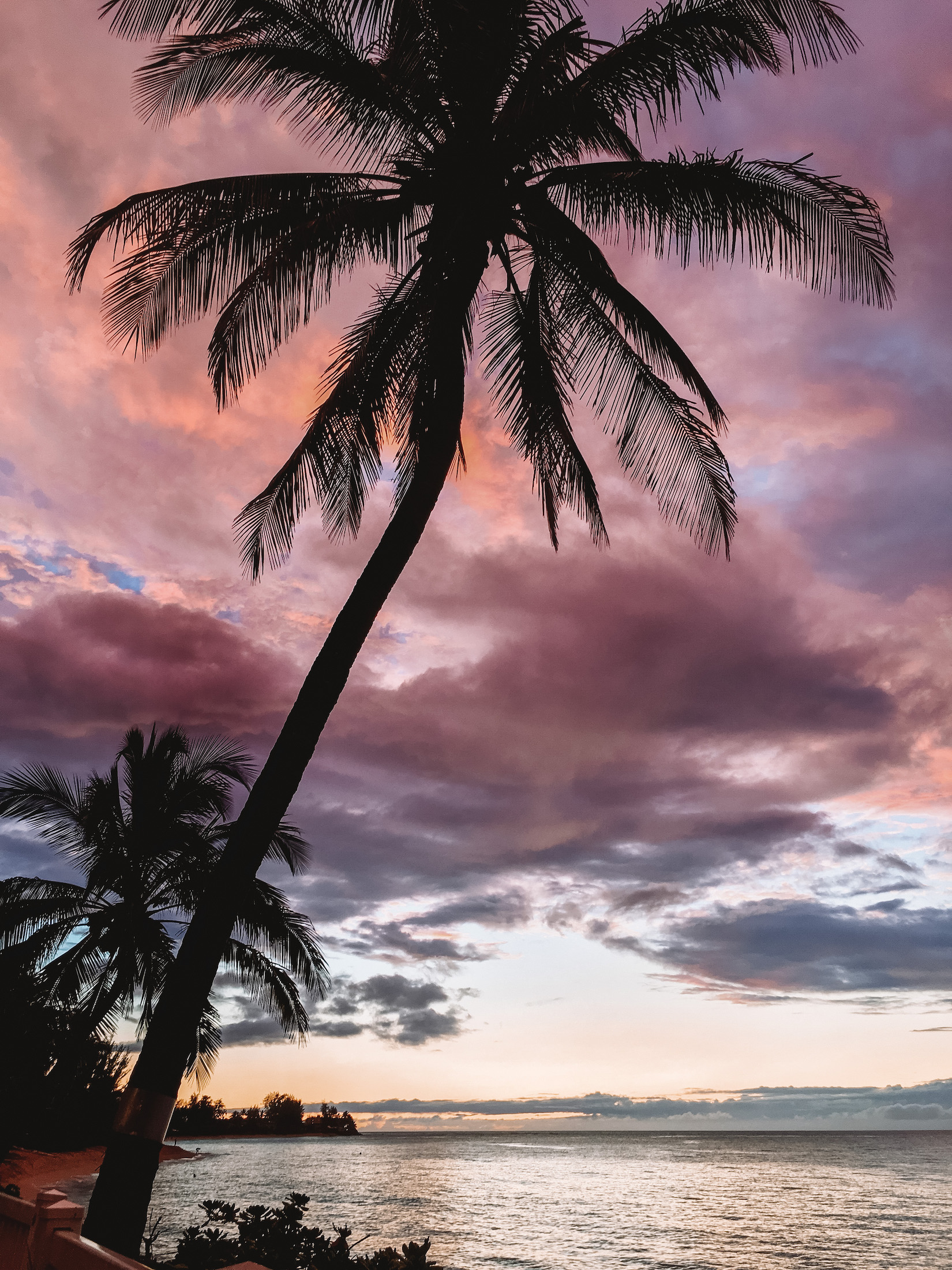Pink and purple sunset with palm trees and ocean in Maui, Hawaii, USA
