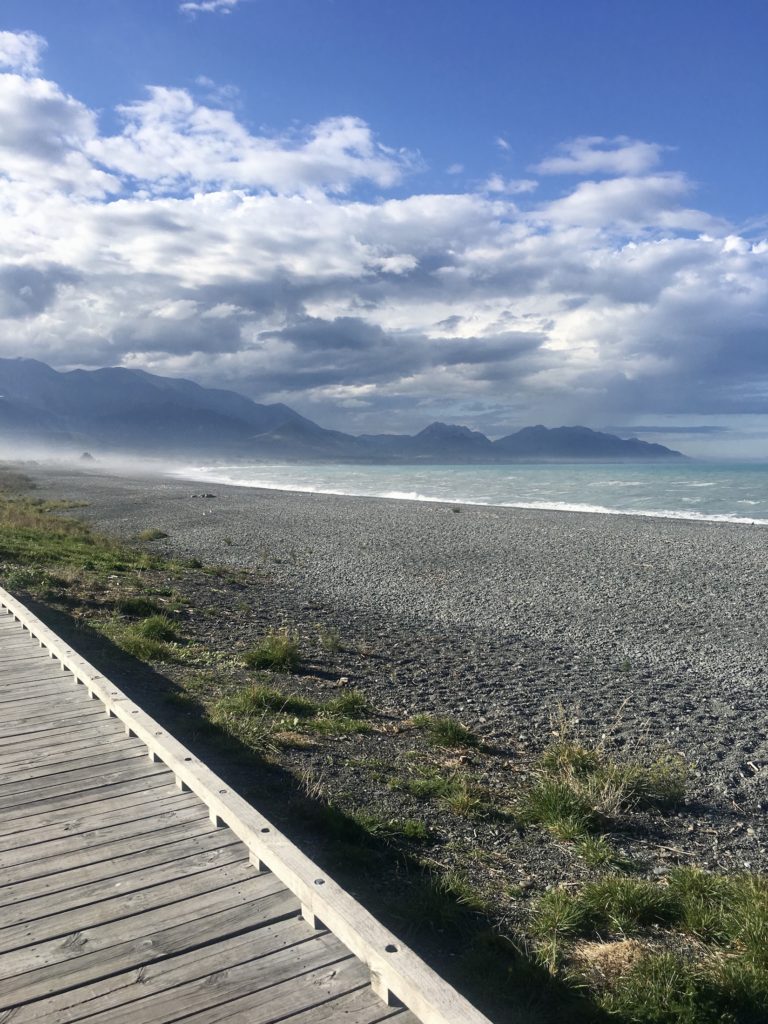 best places to visit south island: kaikoura, new zealand