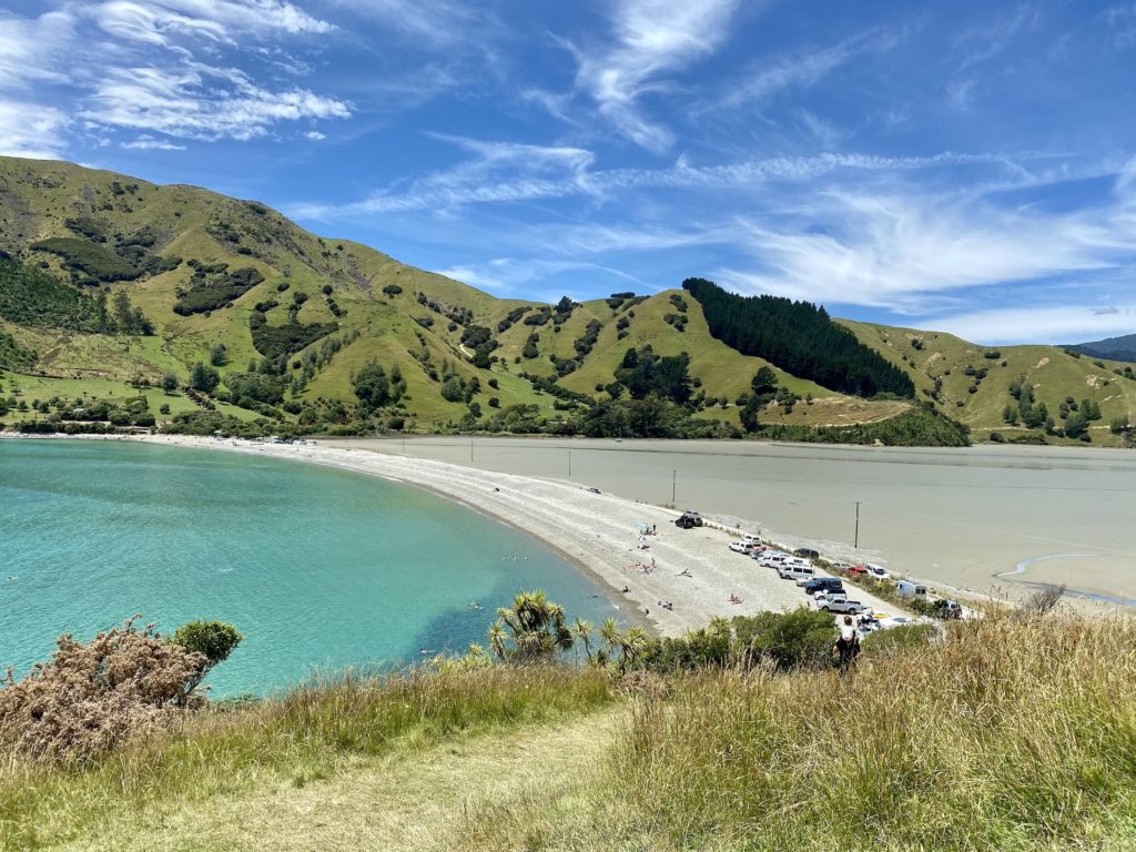 best places to visit south island: cable bay, nelson, new zealand