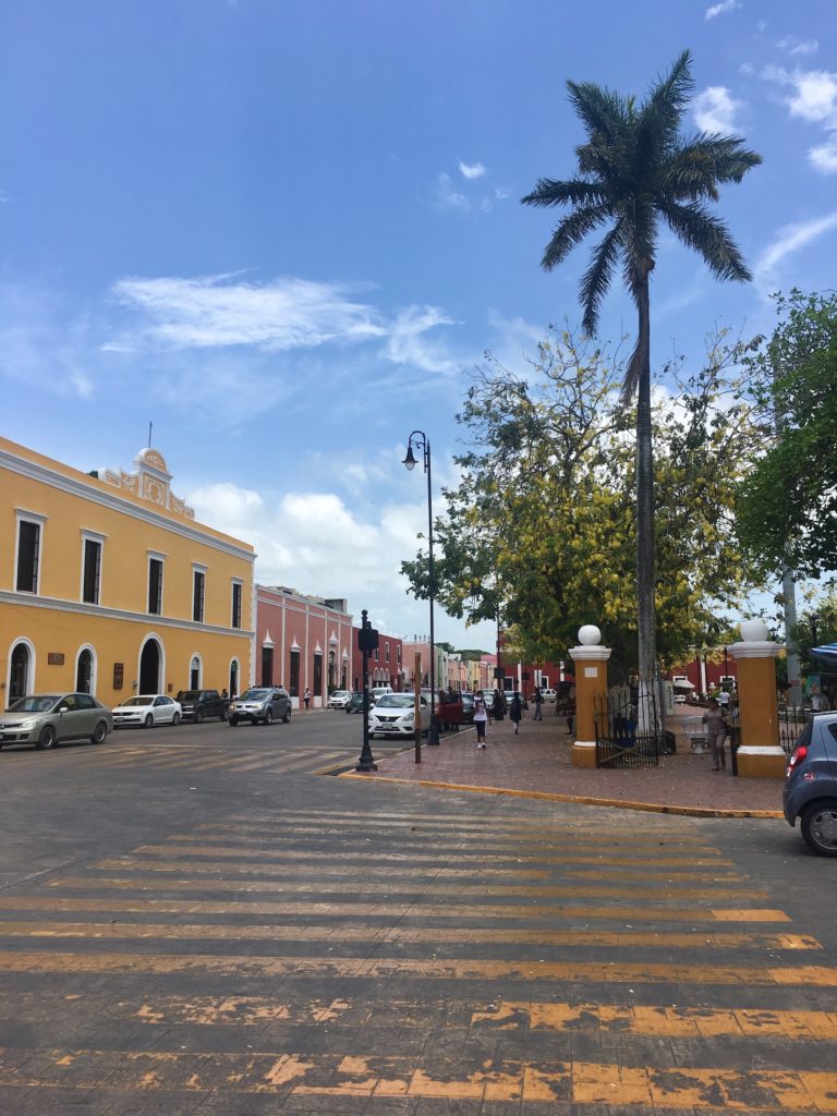 Street with colorful buildings and palm tree in Valladolid, Mexico