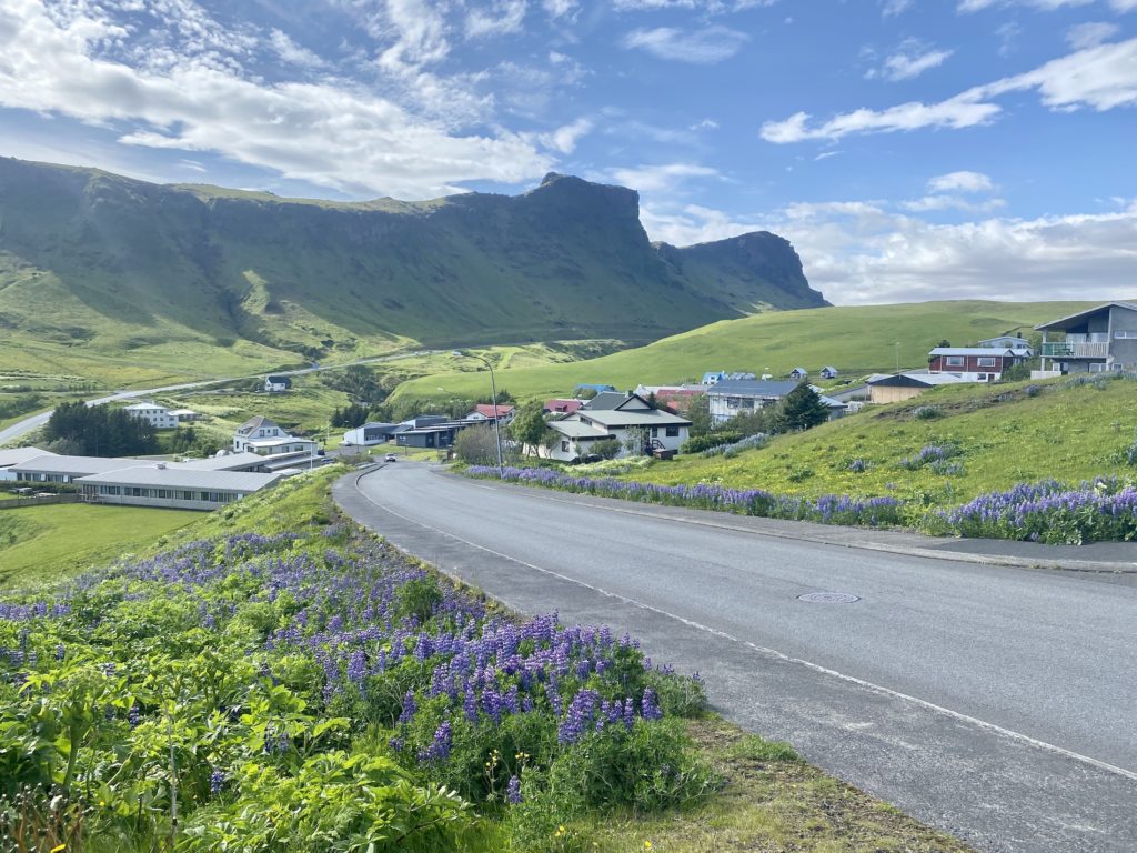 Road and buildings in Vik, Iceland
