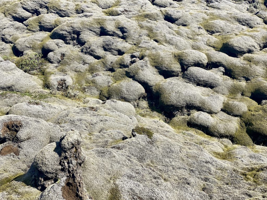 Eldhraun Lava Field, Iceland