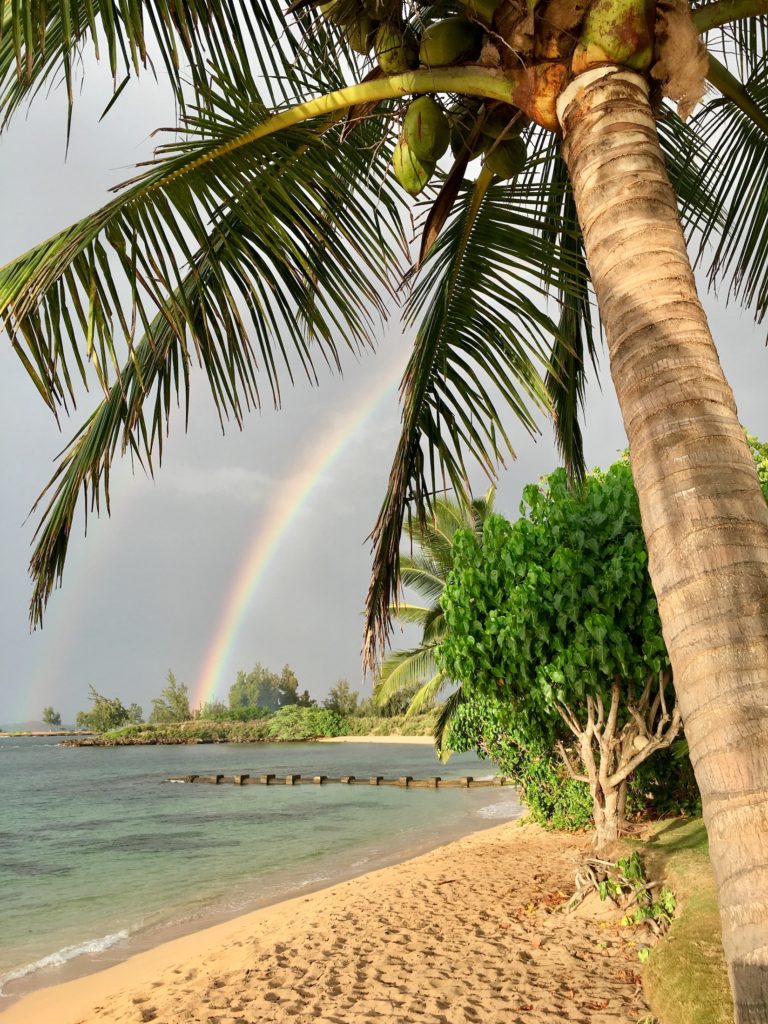 North Shore Oahu bucket list: palm tree and rainbow