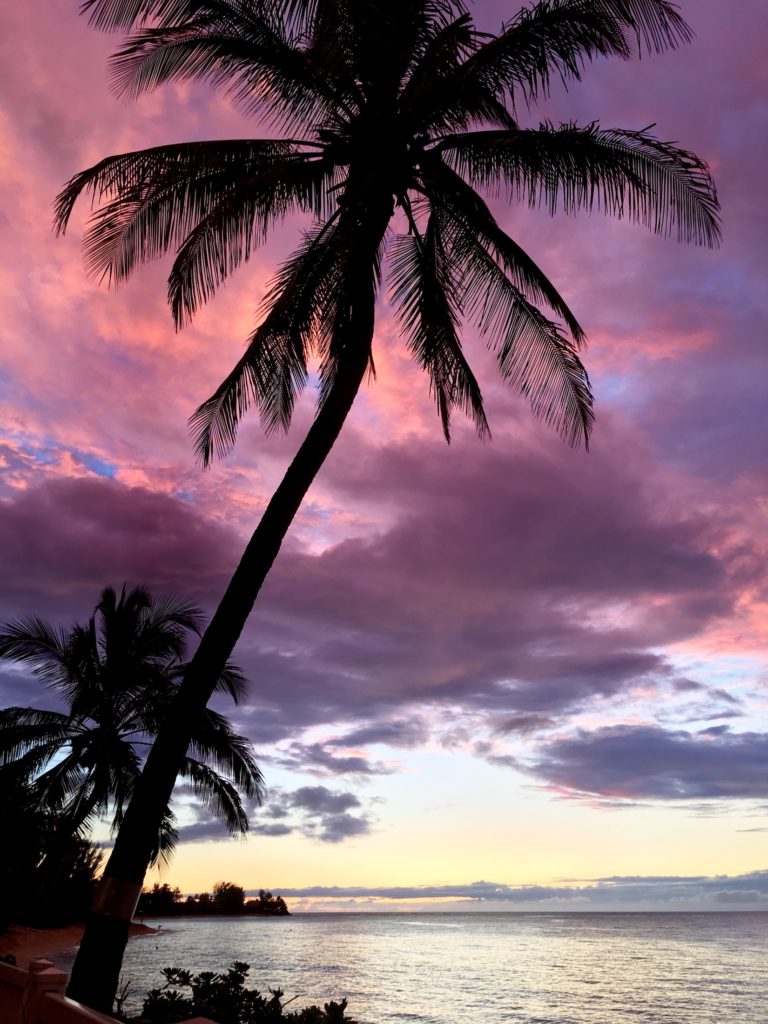 North Shore Oahu bucket list: sunset and palm trees