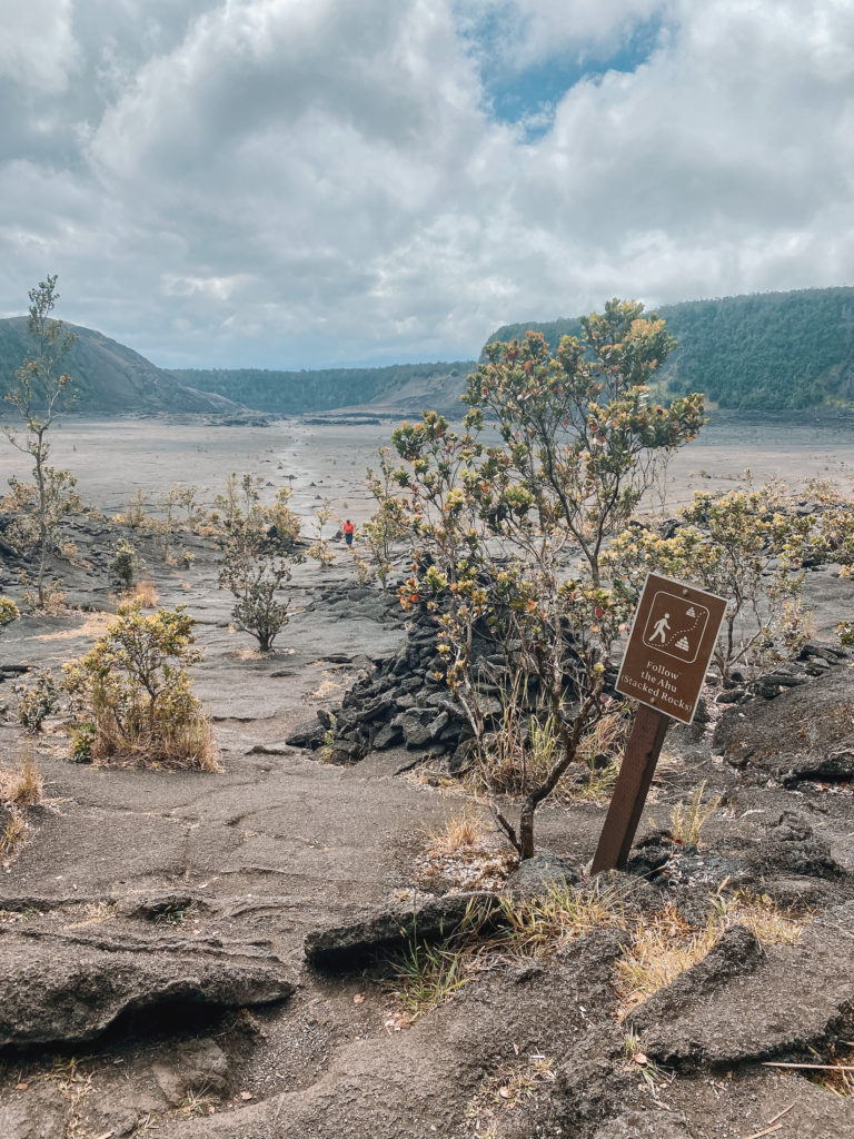 Kilauea Iki Crater Trail, Big Island