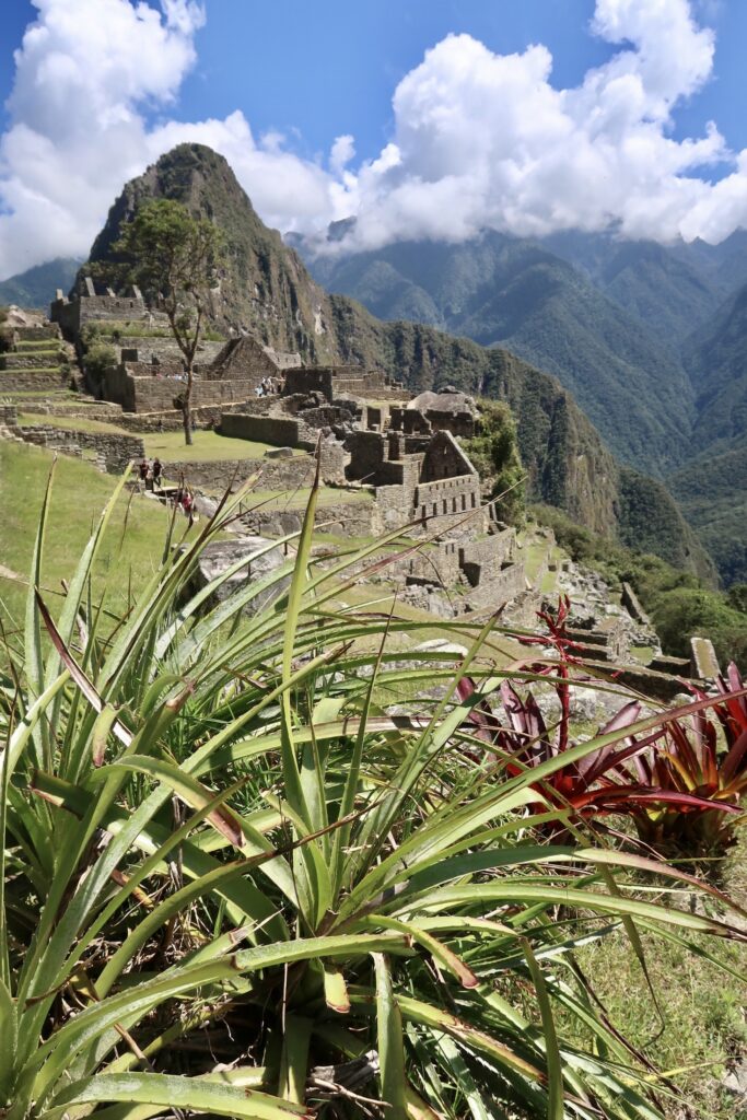 View of Huayna Picchu from Machu Picchu archaeological site, Peru