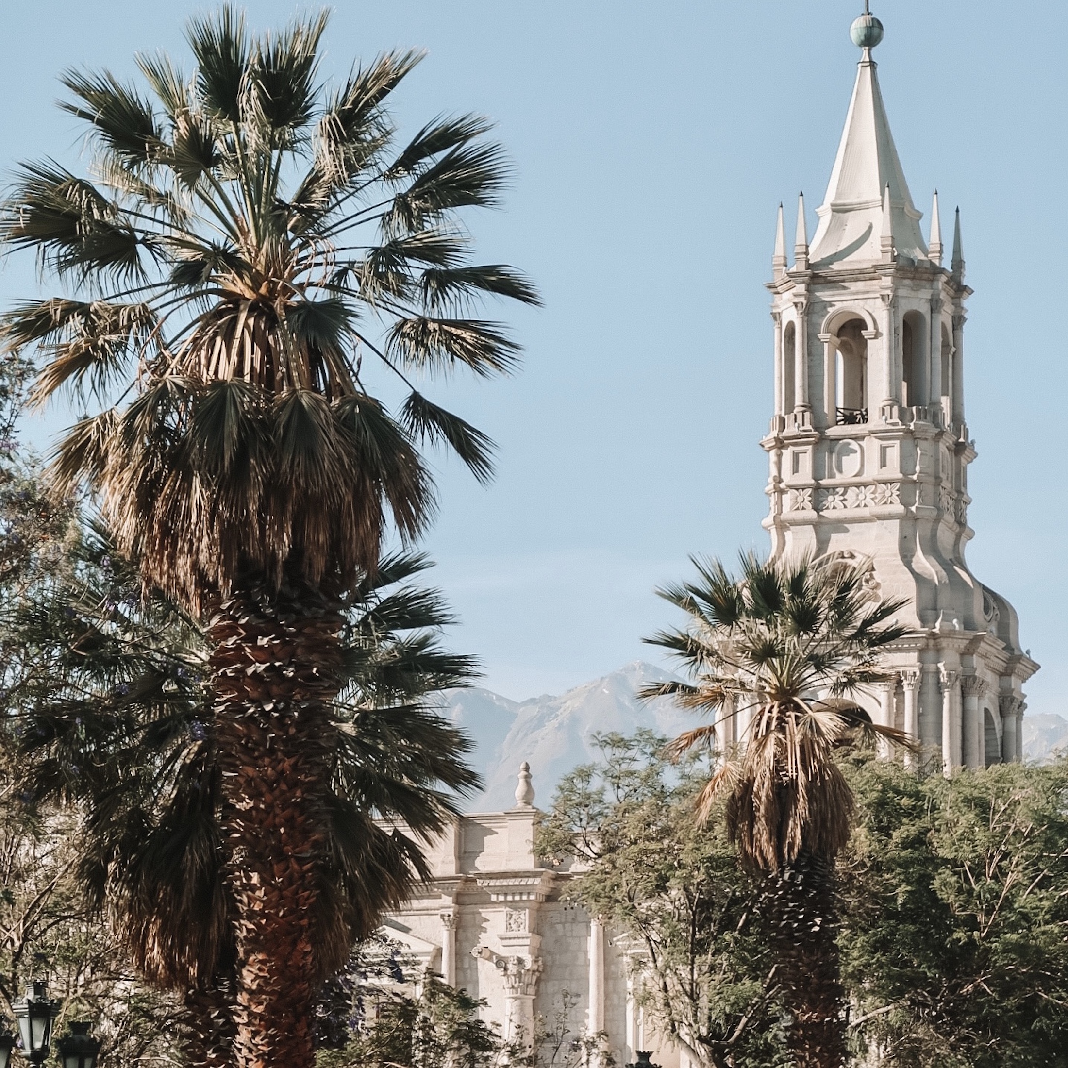 church and palm trees at plaza de armas, arequipa, peru