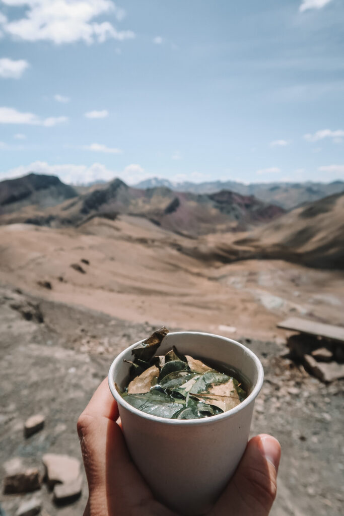 Cup of coca leaf tea on the summit of the Rainbow Mountain hike, Cusco, Peru