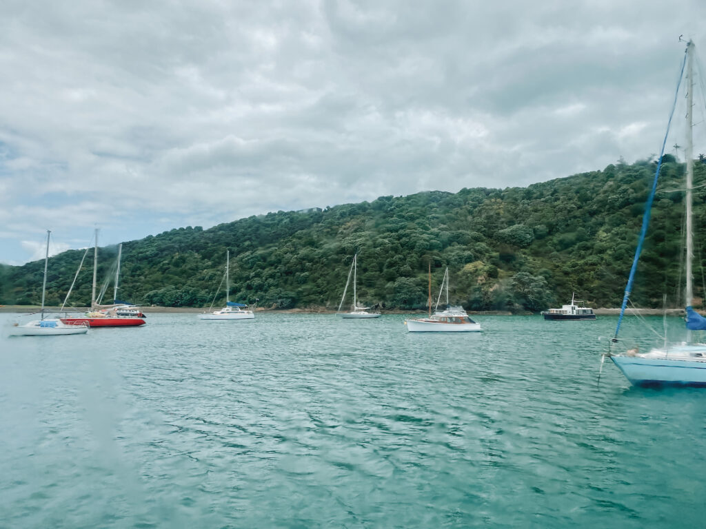 Boats in Matiatia Bay, Waiheke Island, Auckland, New Zealand