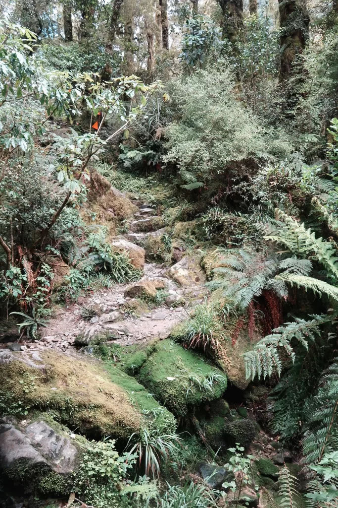 Best day hikes South Island New Zealand: Lake Marian Track, Fiordland National Park