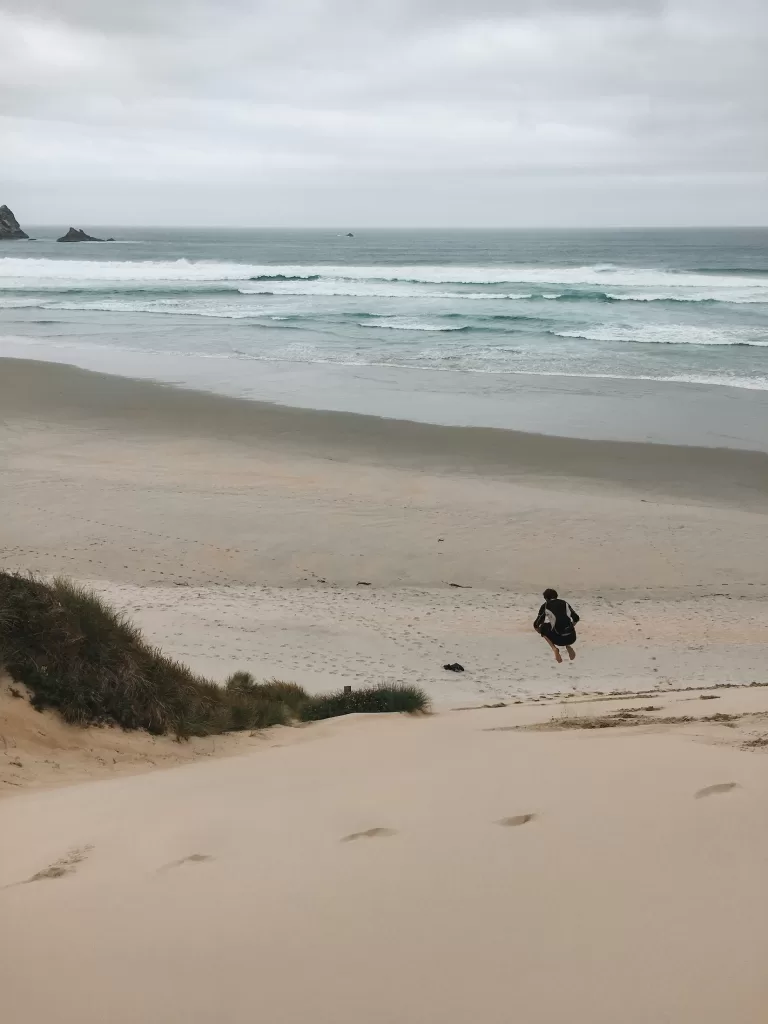Best day hikes South Island New Zealand: Ben jumps in the sand, Sandfly Bay Track and Sandymount Track, Dunedin