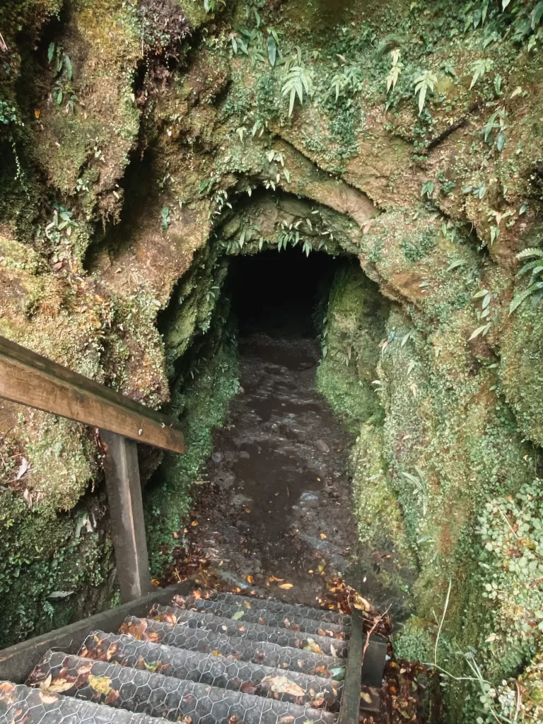Tatare Tunnels Walk, Franz Josef, West Coast, New Zealand