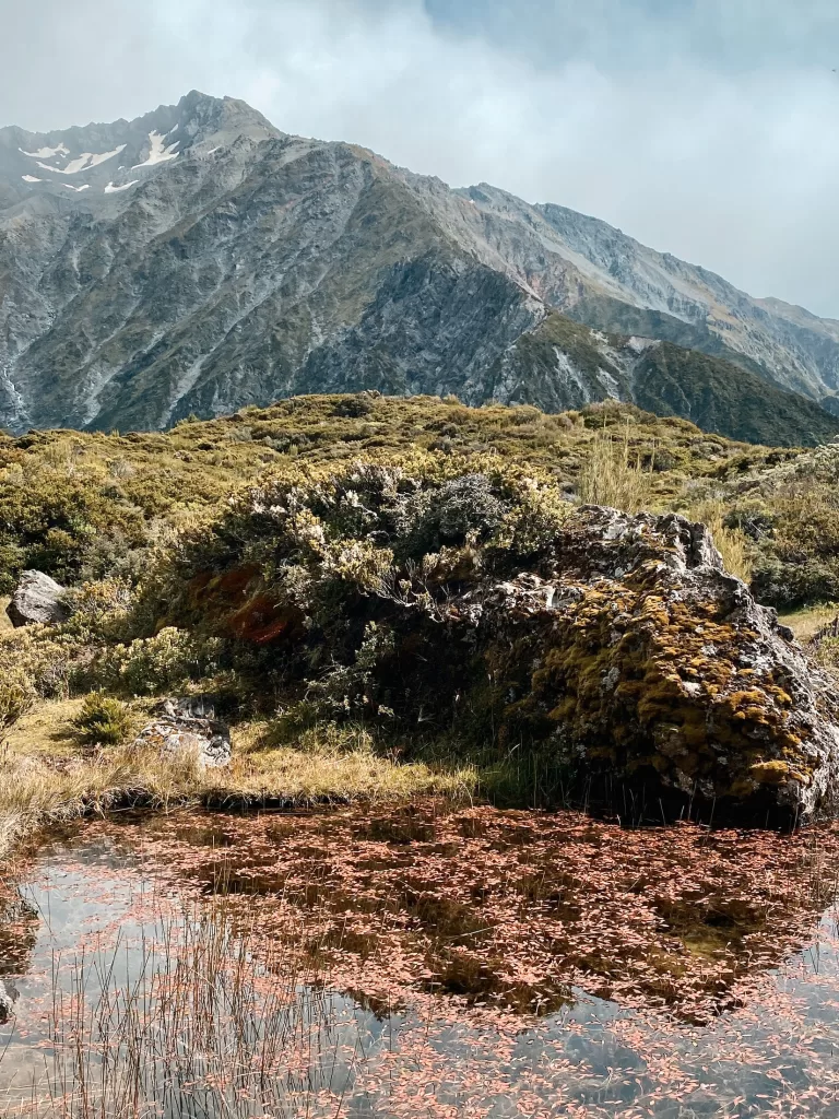 Best day hikes South Island New Zealand: Red Tarns Track, Aoraki Mount Cook National Park