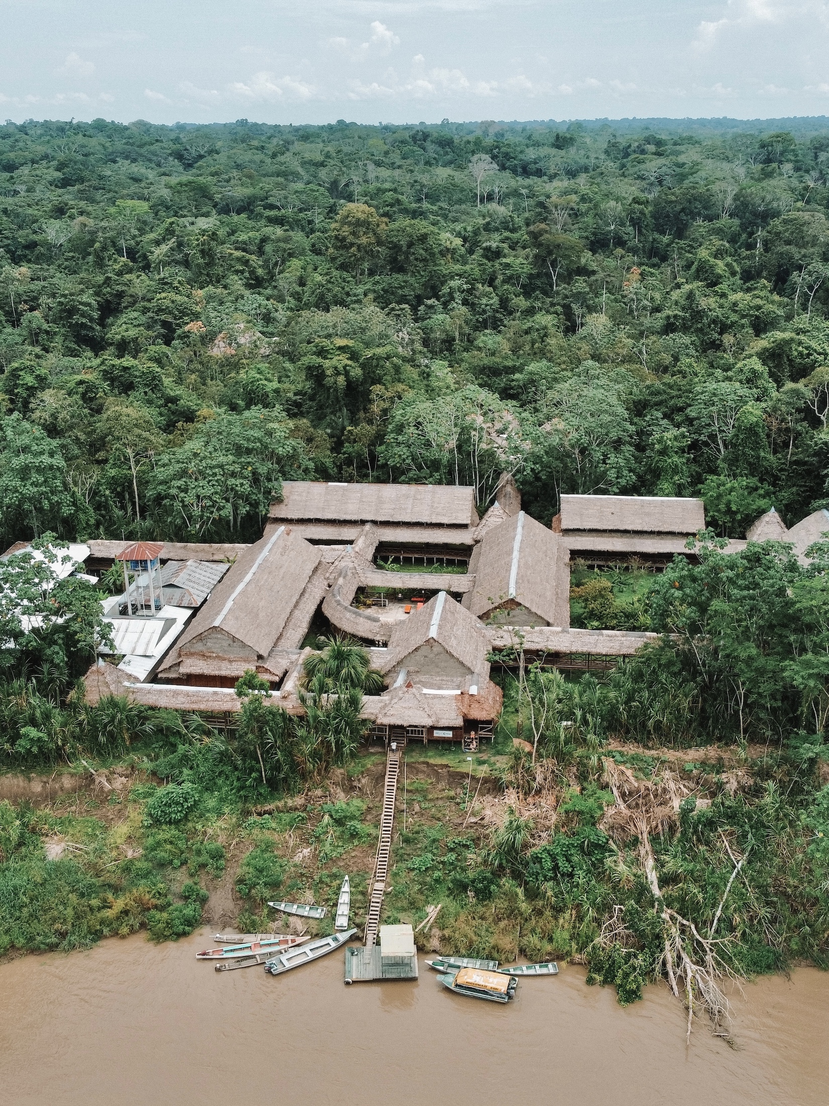Best ayahuasca retreat in Peru - Blue Morpho at Heliconia Lodge, Amazon River, Peru