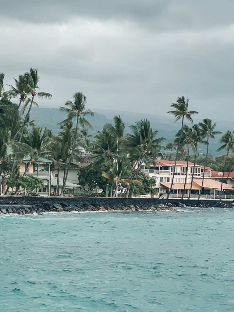 Beach and palm trees in Kona, Big Island