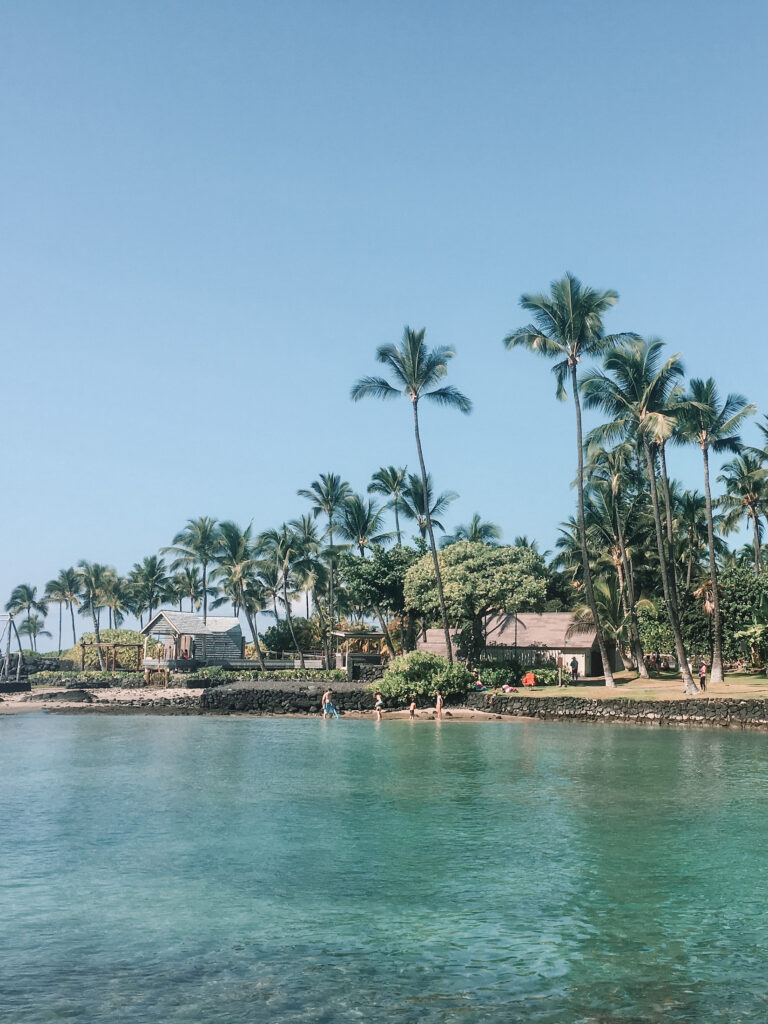 Beach and palm trees in Kona, Big Island, Hawaii