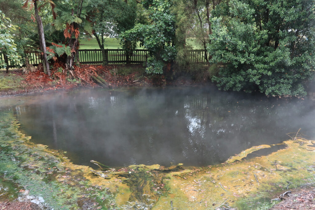 Things to do in Rotorua: Kuirau Park Mud Pools