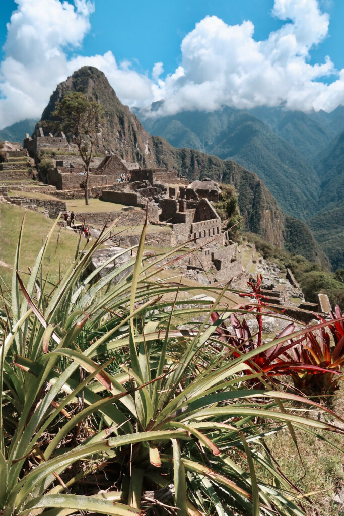 2 days in Cusco: Day trip to Machu Picchu, Peru