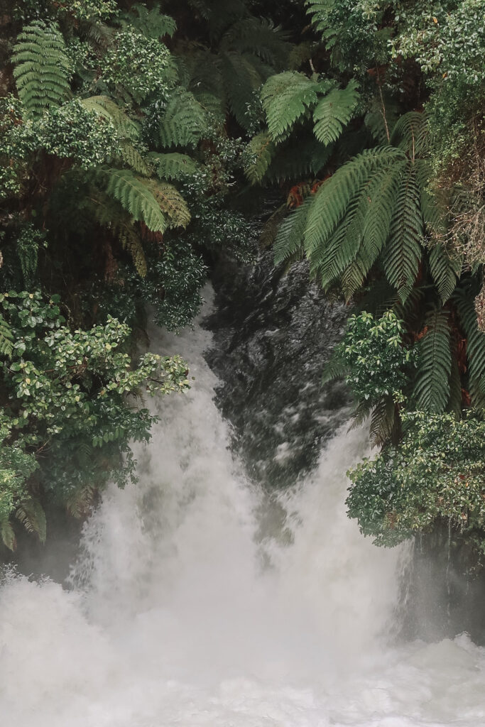 Things to do in Rotorua: Okere Falls