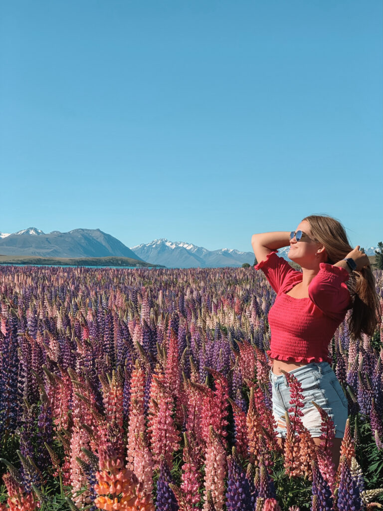 Niki stands in a field of lupins, Canterbury, South Island New Zealand