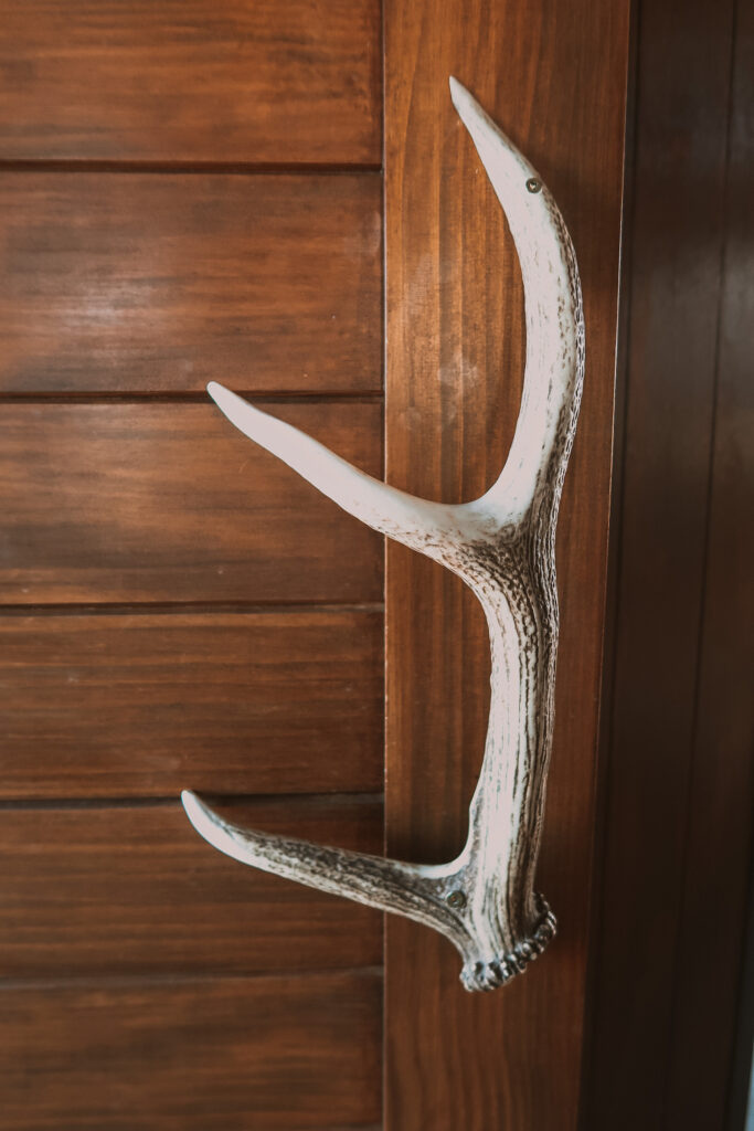 Door handle made out of an antler at the cabin, Twizel, South Island New Zealand