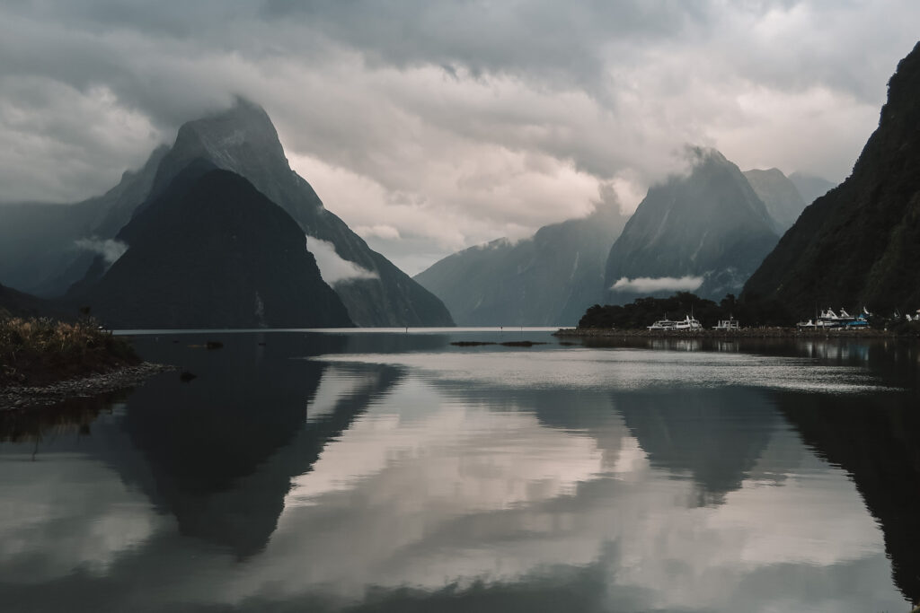 Things to do in Milford Sound: Milford Sound foreshore, Fiordland National Park, South Island New Zealand